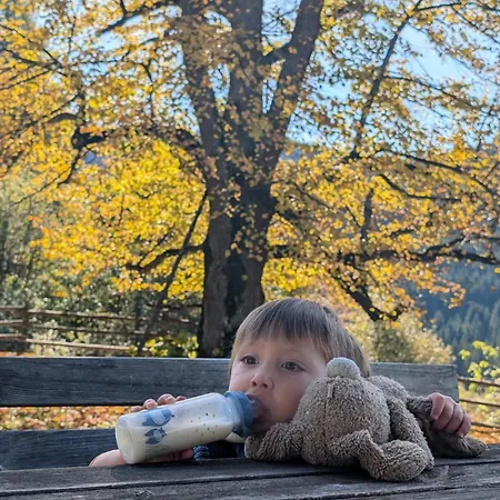 Nyaraló Rueggenhuette *