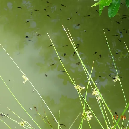 Nyaraló Rueggenhuette Hochfeistritz