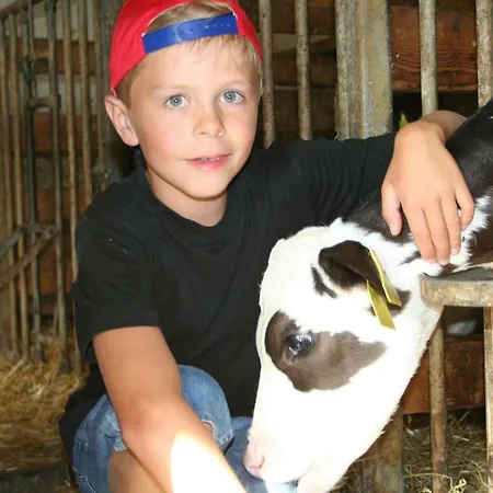 Rueggenhuette Σπίτι διακοπών Hochfeistritz