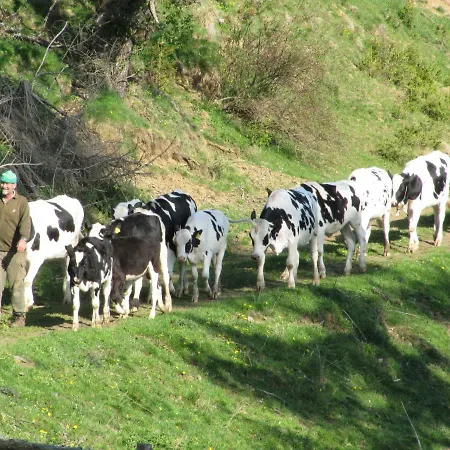Rueggenhuette Nyaraló Hochfeistritz