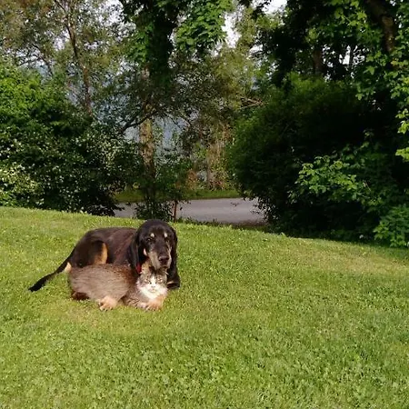 Rueggenhuette Hochfeistritz