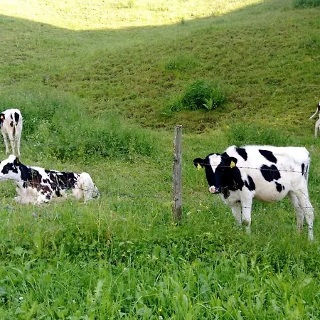 Σπίτι διακοπών Rueggenhuette *