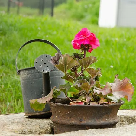 Nyaraló Rueggenhuette