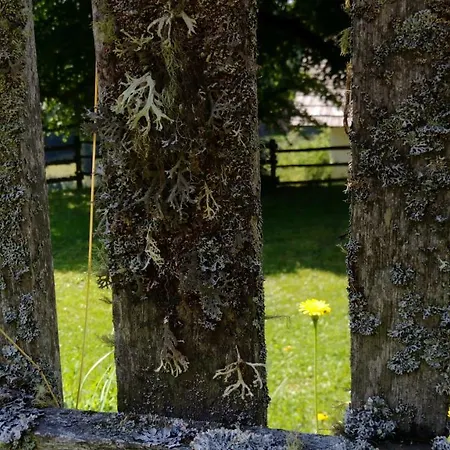 Nyaraló Rueggenhuette Hochfeistritz