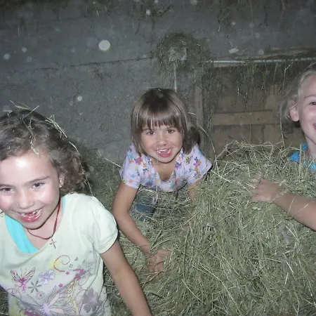 Prázdninový dům Rueggenhuette