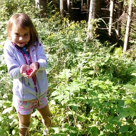 Rueggenhuette * Hochfeistritz